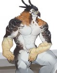 2023 abs accipitrid accipitriform anthro aquilinae avian beak biceps bird claws covering covering_crotch deltoids eagle feathers hi_res looking_at_viewer male multicolored_body muscular o_reowoof orange_body orange_feathers ornate_hawk-eagle pecs reolixious simple_background sitting solo triceps two_tone_body white_background yellow_sclera