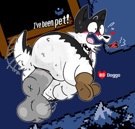 anthro balls big_butt black_collar black_ears blush butt collar duo genitals grey_balls grey_penis male open_mouth penis rear_view tail tail_motion tailwag text thick_thighs white_balls white_body pelnsfw undertale undertale_(series) doggo_(undertale) canid canine canis domestic_dog mammal 2025 english_text