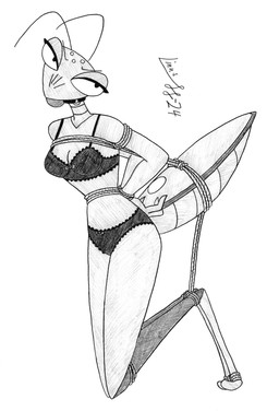 5_eyes antennae_(anatomy) anthro anthrofied arthropod_abdomen ball_gag bdsm bound clothing female gag hands_tied_behind_back legs_tied lingerie multi_eye ocellis restrained solo limpurtikles humans-b-gone! sophodra arthropod insect mantis hi_res