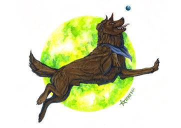 2011 anisis brown_fur canine dog fur mammal open_mouth paws solo teeth tongue traditional_media_(artwork) yellow_eyes
Rating: Safe
Score: 0
User: Millcore
Date: June 20, 2018 2011 anisis brown_fur canine dog fur mammal open_mouth paws solo teeth tongue traditional_media_(artwork) yellow_eyes
Rating: Safe
Score: 0
User: Millcore
Date: June 20, 2018
