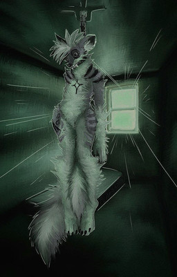 anthro asphyxiation bed black_body black_fur black_markings claws corpse death depression fangs fluffy fluffy_tail fur furniture gore grey_body grey_fur hair male markings noose solo striped_markings stripes suicide tail teeth white_body white_fur window window_light plaksapisya cryotaiga felid hybrid mammal pantherine snow_leopard tiger hi_res