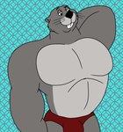 anthro buckteeth bulge clothing fur grey_body grey_fur male muscular muscular_anthro muscular_male red_clothing red_speedo red_swimwear solo speedo swimwear teeth whiskers wolfox90210 disney winnie_the_pooh_(franchise) gopher_(winnie_the_pooh) gopher mammal rodent hi_res