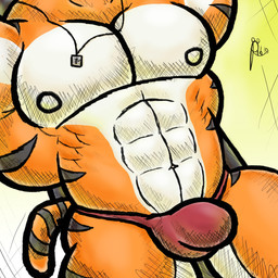 anthro barazoku bottomwear bulge close-up clothed clothing exercise fur jewelry male muscular muscular_anthro muscular_male necklace orange_body orange_fur red_clothing red_thong red_underwear solo thong topless underwear weightlifting workout alanottaviano felid feline mammal pantherine tiger 1:1 hi_res