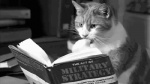 animated cat feline feral military_strategy reading real solo
Rating: Safe
Score: 3
User: Riversyde
Date: March 05, 2011