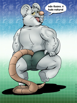 anthro bulge butt clothing grey_body male musclegut muscular overweight overweight_male solo text underwear vynny_lonlydot mammal mouse murid murine rodent 2023 3:4 portuguese_text