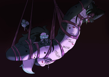 anthro ball_gag balls bdsm blindfold bodily_fluids body_writing bondage bound chastity_cage chastity_device claws collar cum cum_drip cum_on_feet dripping feet femboy flat_chastity_cage fluffy fluffy_tail fur gag gagged genital_fluids genitals green_body green_fur green_hair grey_body hair halter harness harness_ball_gag harness_gag kiss_mark male metal_chastity_cage multicolored_body multicolored_fur nude pawpads paws simple_background solo submissive submissive_anthro submissive_male tail tally_marks text text_on_body tongue tongue_out wearing_chastity_cage wearing_chastity_device white_body white_fur ertonhin canid canine canis mammal digital_media_(artwork) english_text
