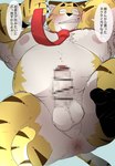 anthro anus balls belly big_belly blush butt erection genitals kemono male moobs necktie nipples overweight overweight_male penis solo text dumdum felid mammal pantherine tiger 2023 absurd_res censored hi_res japanese_text