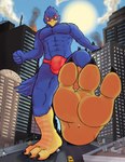 anthro boots building bulge car city clothing detailed_bulge footwear genital_outline macro male penis_outline rampage shoes solo speedo stomping swimwear vehicle neonfragment nintendo star_fox falco_lombardi avian bird mammal hi_res