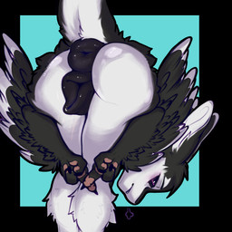 3_fingers 3_toes 4_ears animal_genitalia animal_vulva anthro anus anus_focus ass_up bent_over big_anus big_butt big_vulva biped black_anus black_background black_body black_border black_claws black_feathers black_finger_claws black_fur black_genitals black_sclera black_vulva blush border breath butt butt_focus canine_genitalia canine_vulva claws clothed clothing countershading embarrassed feathered_wings feathers feet female female_anthro finger_claws fingers flexible fluffy folded fur genital_focus genital_outline genitals gesture glistening glistening_anus glistening_butt glistening_genitalia glistening_vulva hair half-closed_eyes hand_gesture hands_together head_turned heart_gesture huge_anus hugging_legs inviting inviting_viewer legs_together looking_at_viewer looking_back looking_back_at_viewer middle_finger monotone_genitals multi_ear multicolored_body multicolored_fur narrowed_eyes nude open_mouth pawpads paws pink_pawpads plump_labia pose presenting presenting_anus presenting_hindquarters presenting_vulva puckered_anus puffy_anus purple_eyes raised_tail rear_view simple_background skimpy solo standing tail teeth thick_thighs toes topless topless_anthro tuft tufted_fur two_tone_body two_tone_fur underfluffies upside_down vulva vulva_focus white_body white_countershading white_feathers white_fur white_tail wide_hips winged_arms wings elenmilk praise_da_booty_(meme) fyr_(fenrir784) avali avian bird 1:1 2026 colored digital_drawing_(artwork) digital_media_(artwork) hi_res portrait shaded three-quarter_portrait maleherm_(lore)