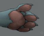 4_toes ambiguous_form ambiguous_gender barefoot claws connected_pawpads digitigrade ecmajor feet felid foot_shot friendship_is_magic fur gabby_(mlp) grey_background grey_body grey_claws grey_fur hasbro mammal my_little_pony pawpads paws pink_pawpads simple_background solo toe_claws toes