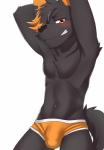 anthro athletic athletic_anthro athletic_male briefs bulge clothed clothing dark_body dark_fur dark_hair featureless_chest fur hair hands_above_head kemono male mostly_nude multicolored_hair navel orange_clothing orange_eyes orange_hair orange_underwear pecs seductive simple_background solo teeth topless two_tone_hair underwear underwear_only white_background tarobandit saberleo_(character) canid canine canis coyote mammal hi_res