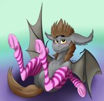 absurd_res bat_pony blush clothed clothing devin_(thegreybatpone) equid equine fan_character fangs footwear fur grey_body grey_fur hasbro hi_res horse hyflin legwear male mammal my_little_pony partially_clothed pony presenting simple_background socks solo stockings teeth wings yellow_eyes