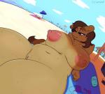 anthro areola beach big_breasts bodily_fluids breasts brown_body brown_eyes brown_fur brown_hair detailed_background female fur genitals hair huge_breasts nipples pussy seaside solo sweat sweaty_breasts slickerwolf amber_(dusty) dusty_(princedusty) canid canine canis domestic_dog hybrid mammal wolf 2019 digital_media_(artwork) hi_res