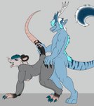 all_fours anthro duo female from_behind_position male male/female penetration sex side_view smile standing r0ttens0ul mythology american_opossum dragon mammal marsupial mythological_creature mythological_scalie scalie hi_res