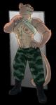 anthro bottomwear breasts camo camo_bottomwear camo_clothing camo_pants camo_print clothed clothing female fur looking_at_viewer muscular muscular_anthro muscular_female nipples pants pattern_bottomwear pattern_clothing pattern_pants pecs simple_background smile solo standing perunagekko felid lion mammal pantherine 2018 absurd_res alpha_channel digital_media_(artwork) hi_res