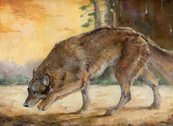 ambiguous_gender black_nose brown_body brown_fur detailed_background feral fur inner_ear_fluff mouth_closed orange_eyes outside plant quadruped realistic side_view sky solo tree tuft white_inner_ear_fluff yellow_sky akatan_art canid canine canis mammal wolf 2025 acrylic_painting_(artwork) detailed hi_res painting_(artwork) traditional_media_(artwork) traditional_painting_(artwork)