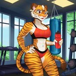 anthro athletic athletic_female athletic_wear big_breasts bottle breasts container female fur gym holding_object multicolored_body multicolored_fur open_mouth orange_body orange_fur pink_nose punching_bag red_tongue solo tail thick_thighs tongue treadmill water_bottle weight_rack ferinexia nadine_(grizzlygus) felid feline mammal pantherine tiger 1:1 hi_res