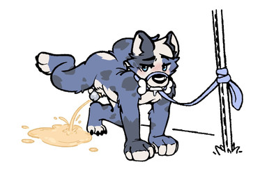 all_fours anthro bodily_fluids bone_in_mouth chastity_cage chastity_device fur genital_fluids hiked_leg leash leashed_male male male_peeing multicolored_body multicolored_fur peeing peeing_through_chastity raised_leg solo tail toy_in_mouth urine urine_stream watersports backboned_(artist) canid canine canis mammal