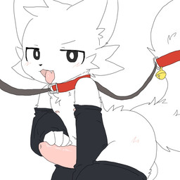 anthro balls genitals male penis solo tail_leash teasing teasing_viewer tongue tongue_out touching_penis chano boy_kisser_(meme) silly_cat_(mauzymice) canid canine canis mammal wolf 1:1 2025 meme