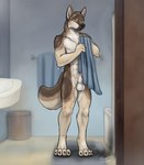 animal_genitalia balls bathroom genitals male nude red_tip sheath shower solo surprise sunitai canid canine canis domestic_dog german_shepherd herding_dog mammal pastoral_dog hi_res