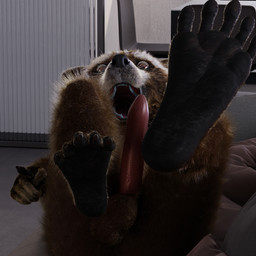 anthro balls brown_body brown_eyes brown_fur feet foot_focus full_foot_pawpads fur furniture genitals gesture hand_gesture lying_on_sofa male nude on_sofa open_mouth paws penis pointing sofa solo teeth tawzy guardians_of_the_galaxy marvel rocket_raccoon mammal procyonid raccoon 1:1 3d_(artwork) blender_(artwork) digital_media_(artwork) hi_res