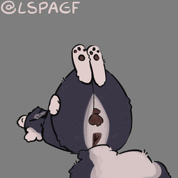 anthro anus balls darkened_anus darkened_balls darkened_genitalia darkened_penis fluffy fluffy_tail genitals grey_background holding_leg holding_thigh lying male multicolored_body on_back pawpads paws penis raised_paw simple_background solo tail two_tone_body lspagf skunk_(lspagf) mammal mephitid skunk 1:1 absurd_res hi_res