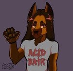 anthro band_logo band_shirt broad_shoulders brown_body brown_fur brown_hair clothing fur graphic_tee hair long_hair male metal_(genre) orange_eyes pawpads shirt solo tan_body tan_fur topwear white_clothing white_shirt white_topwear conditional_dnp taoreta acid_bath canid canine canis domestic_dog german_shepherd herding_dog mammal pastoral_dog hi_res