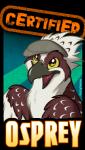 ambiguous_gender anthro beak clothing hat headgear headwear open_mouth solo tongue yellow_eyes dracovar_valeford marymouse valeford accipitriform avian bird osprey 2012 4:7 character_badge_(artwork)