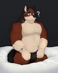 anthro brown_eyes bulge male navel question_mark solo acario_(artist) echo_(game) echo_(series) echo_project leo_alvarez canid canine canis mammal wolf absurd_res hi_res