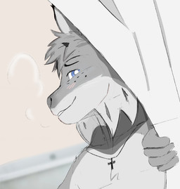anthro bathing behind_curtain blush christian_symbol cross cross_necklace freckles inviting jewelry male male_anthro necklace nude_anthro nude_male religion religious_symbol shower shower_curtain showering solo steam pomatototatoes christianity echo_(game) echo_(series) echo_project tj_hess canada_lynx felid feline lynx mammal