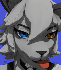 adolescent anthro black_bra black_clothing black_underwear blue_eyes bra bra_strap brown_eyes clothed clothed_anthro clothed_female clothing female female_anthro fully_clothed fully_clothed_anthro fully_clothed_female fur grey_body grey_fur grey_hair hair heterochromia looking_at_viewer multicolored_body multicolored_fur solo text tongue tongue_out underwear young mg_shiro blender_eevee_(artwork) epic_games fortnite wolfie_(fortnite) canid canine canis mammal wolf 3d_(artwork) 3d_animation animated artist_name blender_(artwork) cel_shading digital_media_(artwork) meme reaction_image shaded signature