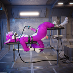 anal animal_genitalia animal_penis anthro anthro_on_anthro arms_tied ball_gag balls bdsm biped bodily_fluids bondage bound canine_genitalia canine_penis claws clothing cuffs_(clothing) cum cum_dripping_from_penis cum_on_penis depth_of_field erection feet forced forced_anal forced_orgasm fuck_bench fucking_machine fur gag gagged genital_fluids genitals hair hindpaw inside knot legs_tied machine male male_penetrated milking_cum milking_machine multicolored_body nude open_mouth orgasm paws penetration penis pink_body pink_fur pink_penis purple_penis reflection restraints slim slim_anthro slim_male slim_sub smile solo submissive submissive_male tail torture white_body white_fur dragonplayer lavi canid canine canis fox mammal rexouium 1:1 3d_(artwork) absurd_res blender_(artwork) blender_cycles_(artwork) digital_media_(artwork) hi_res