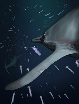 ambiguous_gender blood bodily_fluids dorsal_fin duo eating feral fin group hunting mantle_(mollusk) scales scar swimming tentacles underwater water hyrotrioskjan aquatic cephalopod coleoid decapodiform ichthyosaur mollusk prehistoric_species reptile scalie squid temnodontosaurus hi_res