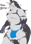 after_transformation anthro bulge clothing fur gloves grey_body hair handwear human_to_anthro male muscular muscular_anthro muscular_male nipples red_eyes solo species_transformation text torn_clothing transformation underwear yellow_sclera geryorias nintendo pokemon canid canine generation_3_pokemon mammal mightyena pokemon_(species) absurd_res hi_res