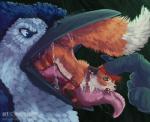 angry anthro beak bite blue_eyes blush bodily_fluids collar duo feathers forced fur green_eyes male micro open_mouth orange_body orange_fur saliva size_difference tongue vore mongrelist elijah_jay jaxus_(tastyjax12) avian bird blue_jay canid canine corvid fox jay_(bird) mammal new_world_jay oscine passerine 2018