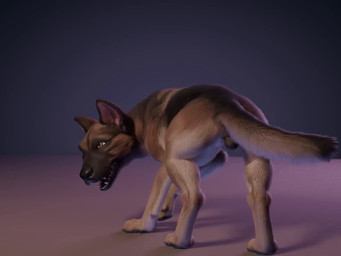 anatomically_correct anatomically_correct_genitalia animal_genitalia anus balls black_balls black_body black_fur black_nose black_pawpads bouncing_balls brown_body brown_eyes brown_fur butt canine_genitalia fangs feral fully_sheathed fur genitals hairless_balls light looking_at_viewer male markings open_mouth pawpads paws pink_inner_ear pink_tongue presenting presenting_hindquarters shadow sheath simple_background solo spinning tail tan_body tan_fur teeth teeth_showing tongue tongue_out whiskers werewolfdegenerate canid canine canis domestic_dog german_shepherd herding_dog mammal pastoral_dog 3d_(artwork) 3d_animation 4:3 animated digital_media_(artwork) hi_res lighting no_sound short_playtime video