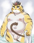 anthro balls belly flaccid genitals kemono male moobs navel nipples overweight overweight_male penis solo towel water ptcmtr tamacolle hitachi_(tamacolle) felid mammal pantherine tiger 2025 absurd_res hi_res