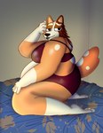 anthro bed bedroom_eyes belly big_belly big_breasts biped bottomwear breasts butt clothed clothing feet female female_anthro fur furniture half-closed_eyes humanoid_feet looking_at_viewer narrowed_eyes obese obese_anthro obese_female open_mouth orange_body overweight overweight_anthro overweight_female plantigrade resting seductive simple_background smile solo tail thick_thighs tongue topwear wide_hips itzimiau bluey_(series) chilli_heeler australian_cattle_dog canid canine canis cattledog domestic_dog herding_dog mammal pastoral_dog