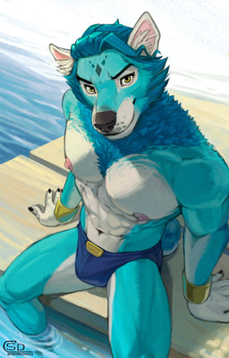 5_fingers abs anthro areola biped black_claws black_nose blue_body blue_fur bracelet bulge claws clothed clothing fingers fur green_eyes humanoid_hands inner_ear_fluff jewelry logo male male_anthro nipples partially_submerged pink_nipples sitting solo speedo speedo_only swimwear topless tuft water yellow_eyes spiritinchoco canid canine canis mammal wolf artist_logo digital_media_(artwork) hi_res signature