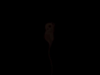 ambiguous_gender blood bodily_fluids bulb duo embryo facial_markings fetus forehead_markings guts head_markings horror_(theme) intestines light long_tail looking_at_another looking_at_viewer markings music offering_to_another orange_sclera organs tail tan_body tan_skin translucent translucent_body jejejunum humanoid unknown_species 2d_animation 4:3 animated english_description long_playtime sound video