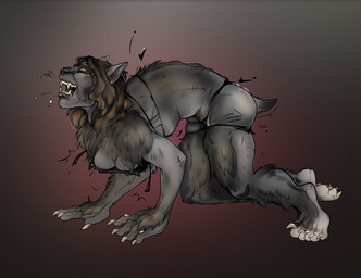 anthro bent_over breasts claws cleavage clothed clothing ear_piercing eyes_closed female fur fur_growth gradient_background grey_body grey_fur growth piercing scar scratch_mark simple_background skimpy snout snout_growth solo tail tail_growth torn_clothing transformation tandemonium mythology canid canine human mammal mythological_canine mythological_creature werecanid werecanine werecreature werewolf hi_res