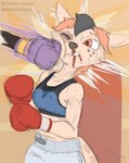 anthro blood bodily_fluids boxing boxing_attire boxing_gloves clothing duo female fighting_ring handwear nosebleed punching_face sport sweat sweatdrop chamma_retsuden masteroflasagna olletta macropod mammal marsupial wallaby hi_res