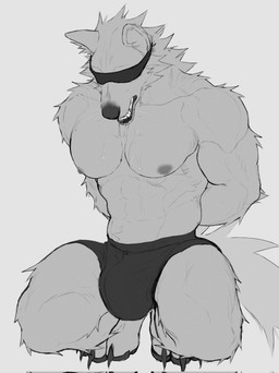 abs anthro arm_tuft big_bulge black_clothing black_nose black_underwear blindfold bodily_fluids boxers_(clothing) bulge cheek_tuft claws clothed clothing crouching drooling facial_tuft front_view fur grey_body grey_fur hands_behind_back leg_tuft looking_down male muscular muscular_anthro muscular_male neck_tuft nipples partially_clothed pecs saliva saliva_string shoulder_tuft simple_background solo tail teeth toe_claws topless topless_anthro topless_male tuft underwear kojiray canid canine canis mammal wolf 2026 greyscale hi_res monochrome