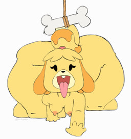 all_fours anthro bone breasts female huge_hips huge_thighs hyper nipples nude open_mouth simple_background smile solo string tail thick_thighs walking white_background wide_hips andyxtal animal_crossing nintendo isabelle_(animal_crossing) canid canine canis domestic_dog mammal 2d_animation animated frame_by_frame hi_res loop