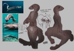 animal_genitalia anthro blush brown_body claspers concept eyelashes featureless_chest feet female fin flat_chested frill_(anatomy) genitals gills nude paws pussy simple_background sitting smile solo solo_in_panel standing teal_eyes text vampfemby chlamydoselachid fish frilled_shark hexanchiform hybrid marine shark concept_art english_text hi_res model_sheet reference_image signature