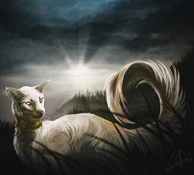 ambiguous_gender day detailed_background feral outside pink_eyes sky solo sun whiskers safiru domestic_cat felid feline felis javanese_cat mammal