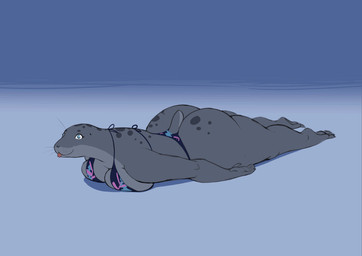 anthro big_breasts big_butt bikini bikini_bottom bikini_top biped blue_background blue_eyes breast_squish breasts breasts_on_ground butt clothing countershade_face countershade_neck countershade_torso countershading curvy_figure derp_eyes female gradient_background grey_body grey_skin huge_butt lying markings on_front simple_background solo spots spotted_body squish swimwear thick_thighs tongue tongue_out two-piece_swimsuit vacant_eyes voluptuous voluptuous_anthro voluptuous_female whiskers sanfingulipunrapin aquatic mammal pinniped seal 2025 2_frame_animation animated