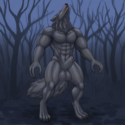 abs animal_genitalia animal_penis anthro balls big_balls black_body black_fur canine_genitalia canine_penis dark detached_sheath forest fur genitals howl male muscular muscular_anthro muscular_male night pecs penis penis_tip plant sheath solo tree conditional_dnp cracky mythology canid canine canis mammal mythological_canine mythological_creature werecanid werecanine werecreature werewolf wolf 1:1 hi_res