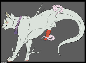 animal_genitalia animal_penis anus balls black_border blush border canine_genitalia canine_penis erection feral fur genitals grey_background jewelry knot male necklace penis presenting sheath simple_background smile smirk solo white_body white_fur backlash91 conditional_dnp kekkaishi madarao_(kekkaishi) canid canine canis domestic_dog ghost mammal spirit wolf digital_media_(artwork) flat_colors signature