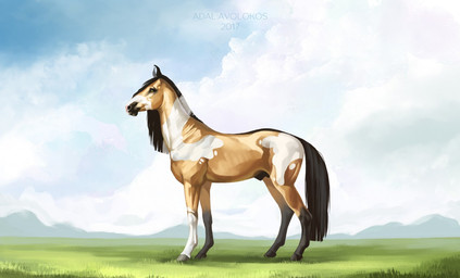 animal_genitalia black_sheath brown_body brown_eyes brown_fur cloud day feral fur genitals grass grey_hooves hooves leg_markings male mane markings multicolored_body multicolored_fur outside plant sheath socks_(marking) solo standing tail adalavolokos equid equine horse mammal 2017 dated shaded